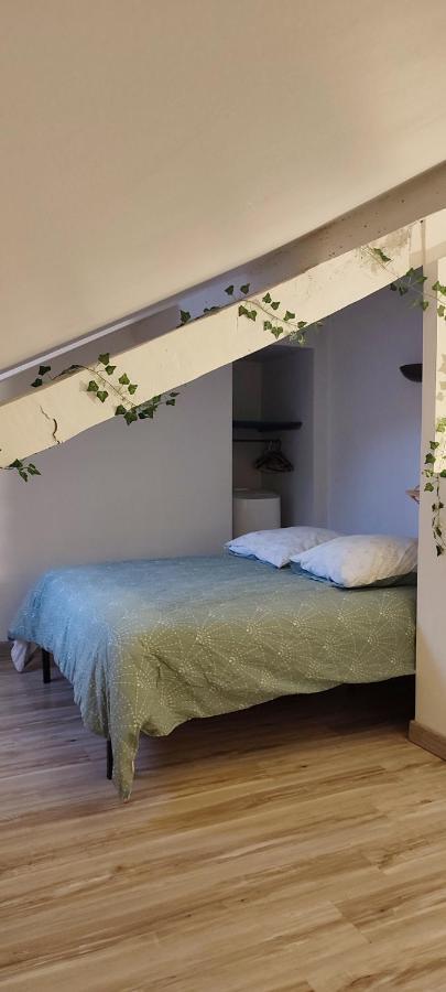 L'Appartement 7 - Centre Ville-Parking-Tv-Wifi Tarbes Buitenkant foto